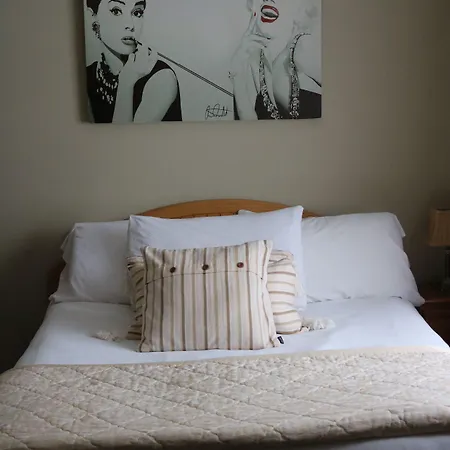 New Park Hotel 3*