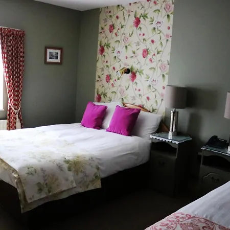 New Park Otel Athenry